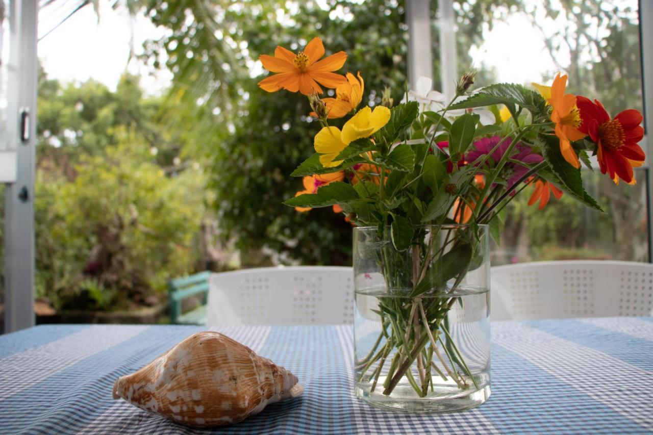 Country house Basi