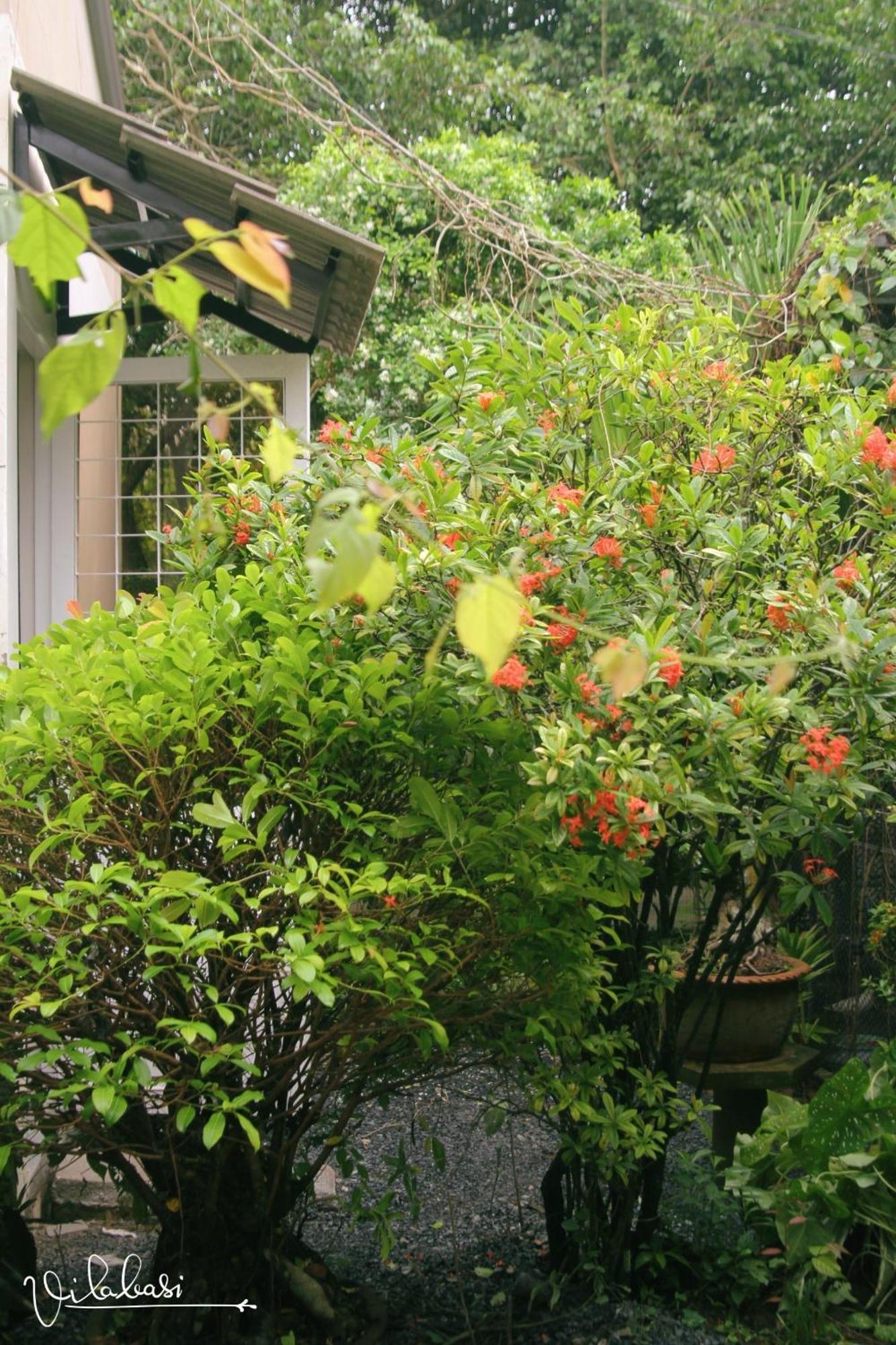 Country house Basi *