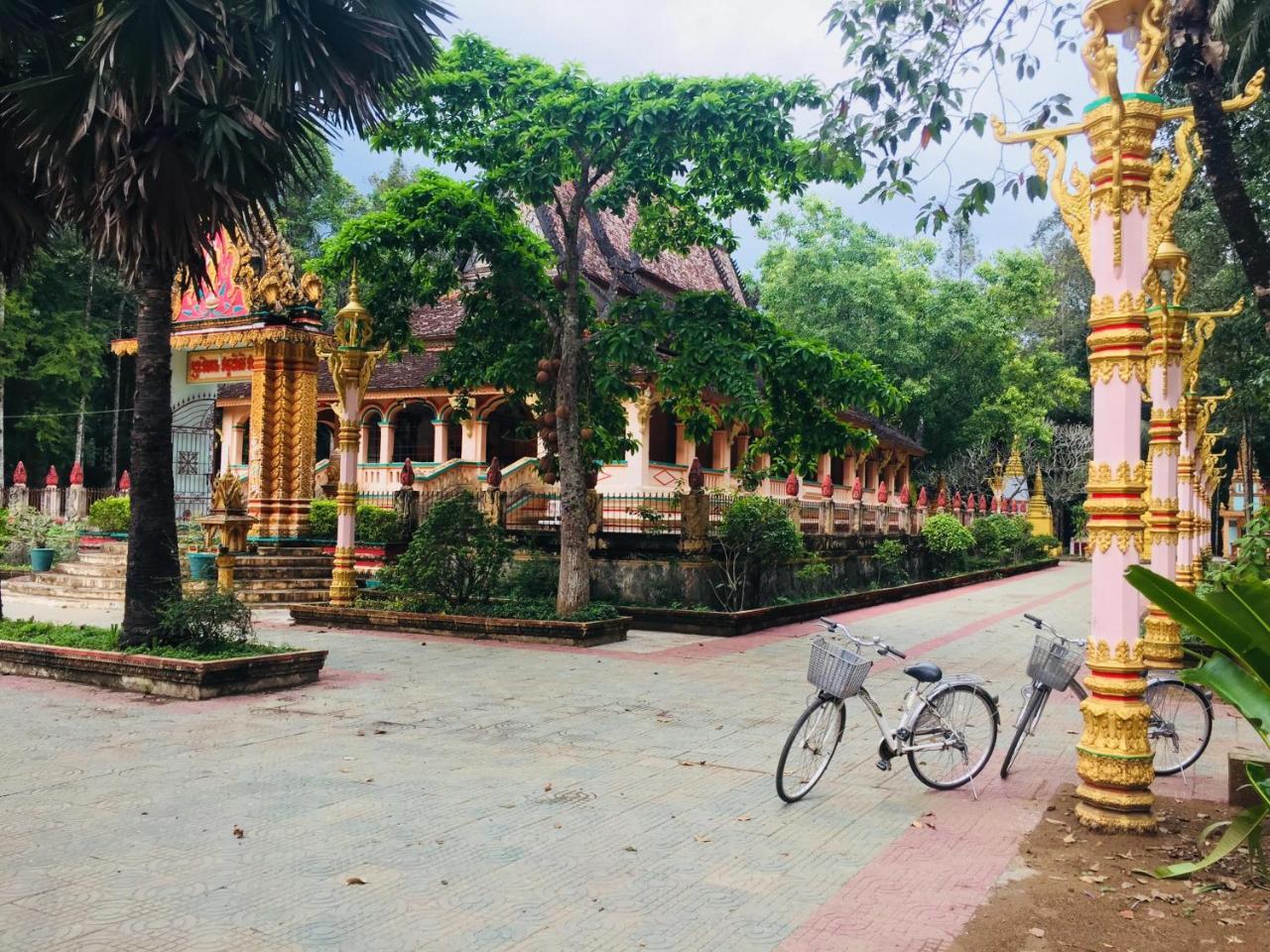 Basi Nguyet Hang